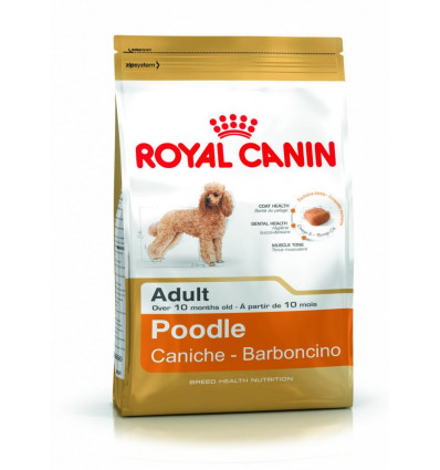 Karma dla psów Poodle Adult 1,5kg Royal Canin