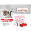 Wyprawka dla kotów KITTEN 2x 400g Royal Canin