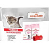Wyprawka dla kotów MOTHER & BABYCAT 2x 400g Royal Canin