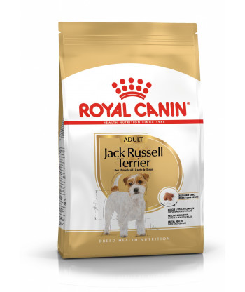 Karma dla psów Jack Russell Adult 500g Royal Canin