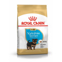 Karma dla psów Yorkshire Terrier Junior 1,5kg Royal Canin