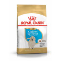 Karma dla szczeniąt Golden Retriever Puppy 3kg Royal Canin