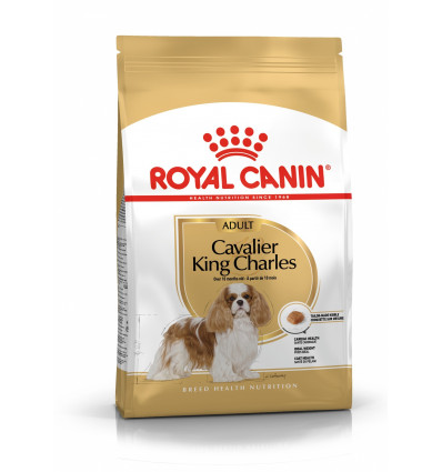 Karma dla psów Chihuahua Adult 500g Royal Canin