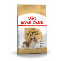 Karma dla psów Cavalier King Charles 1,5kg Royal Canin