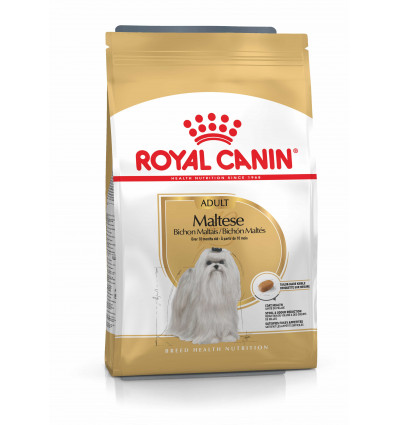 Karma dla psów Maltese Adult 500g Royal Canin