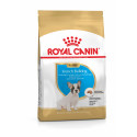 Karma dla psów French Bulldog Buldog francuski Junior 3kg Royal Canin