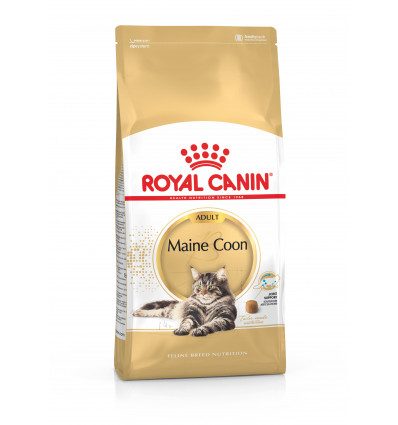 Karma dla kotów Maine Coon dorosłych 4kg Royal Canin