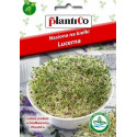 Nasiona na kiełki - Lucerna 20g PlantiCo