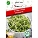 Nasiona na kiełki - Słonecznik 40g PlantiCo