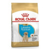 Karma dla psów Labrador Retriever Junior 3 kg Royal Canin
