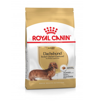 Karma dla psów Dachshund Adult 1,5kg Royal Canin