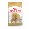 Karma dla psów Golden Retriever Adult 12kg Royal Canin