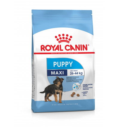 Karma dla psów Maxi Junior 1kg Royal Canin