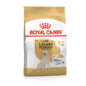 Karma dla psów Labrador Retriever Adult +5 3kg Royal Canin