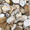 Kamień dekoracyjny - otoczak  żwir miodowy 8-16 mm BIOVITA 20kg