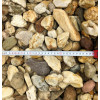 Kamień dekoracyjny - otoczak  żwir miodowy 8-16 mm BIOVITA 20kg