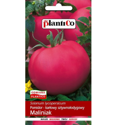 Pomidor malinowy karłowy Maliniak nasiona 0,5g plantico