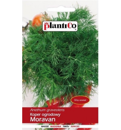 Koper ogrodowy MORAVAN nasiona 5g PlantiCo