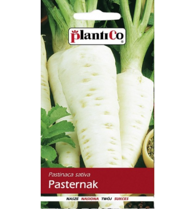 Pasternak biały LECH nasiona 5g PlantiCo