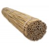 Tyczka bambusowa 60cm 8/10mm