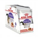 Zestaw Royal Canin Sterilised karma mokra w sosie dla kotów 12x85g
