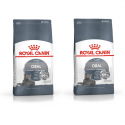 Zestaw Royal Canin Oral Care karma sucha 2x1,5 kg