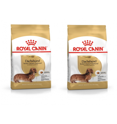 Zestaw Royal Canin Dachshund Adult karma sucha dla jamników 2x1,5 kg