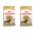 Zestaw Royal Canin Dachshund Adult karma sucha dla jamników 2x1,5 kg