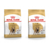 Zestaw Royal Canin French Bulldog Adult karma sucha 2x1,5 kg