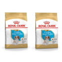 Zestaw Royal Canin Cavalier King Charles Puppy sucha karma 2x1,5kg