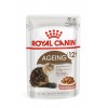 ZESTAW Royal Canin RCN 237280 KOT Ageing +12 85g