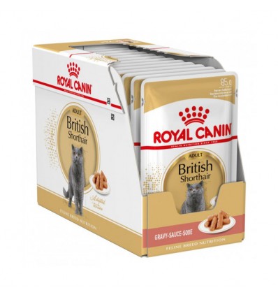 Zestaw Royal Canin British Shorthair karma mokra w sosie 12x85g