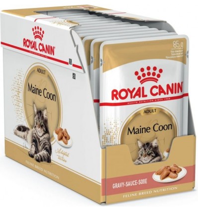 Zestaw Royal Canin Maine Coon karma mokra w sosie 12x85g