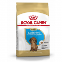 Dachshund Puppy sucha karma dla jamników 1,5 kg Royal Canin