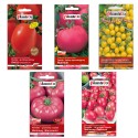 5 najpopularniejszych odmian pomidorów PlantiCo