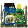 Zestaw do kaktusów ziemia Biovita + nawóz organiczno-mineralny Agrecol