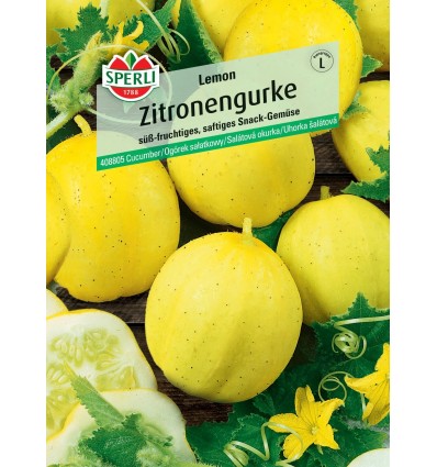 Ogórek sałatkowy 'Lemon' Nasiona PREMIUM Sperli
