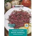 Nasiona na kiełki - Burak ćwikłowy 20g PlantiCo
