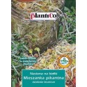 Nasiona na kiełki - Mieszanka pikantna 30g PlantiCo