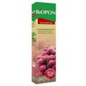 Mikoryza szczepionka do rododendronów 250ml BIOPON