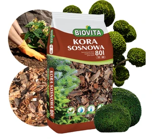 Kora mielona sosnowa BIOVITA 10-60 mm 80L