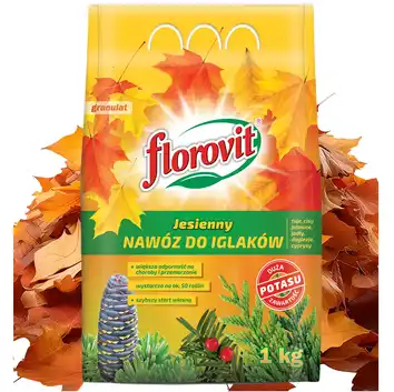 Florovit Nawóz jesienny do iglaków 1 kg