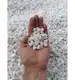 Grys Extra White Thassos BIOVITA 2 kg 8-16mm