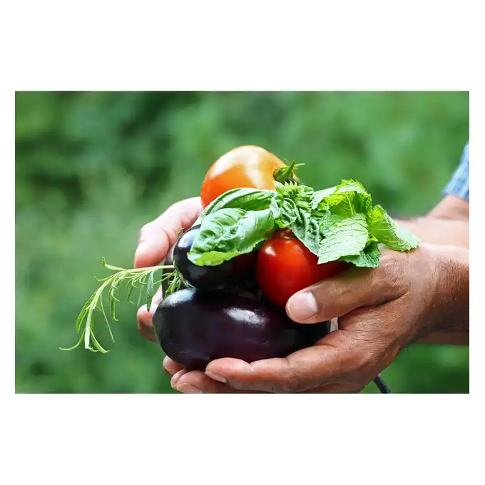 Nawóz wapniowo-magnezowy DOLOMIT 5 kg