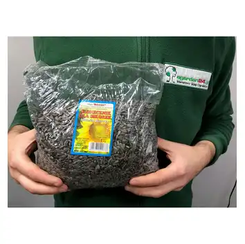 Słonecznik paszowy Zimowy pokarm dla sikorek 1kg