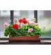 Ziemia do pelargonii BIOVITA 20L