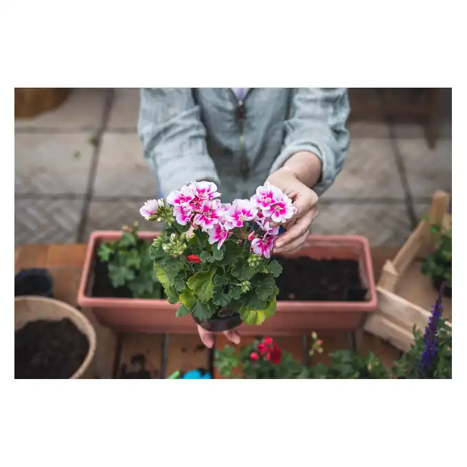 Ziemia do pelargonii BIOVITA 20L