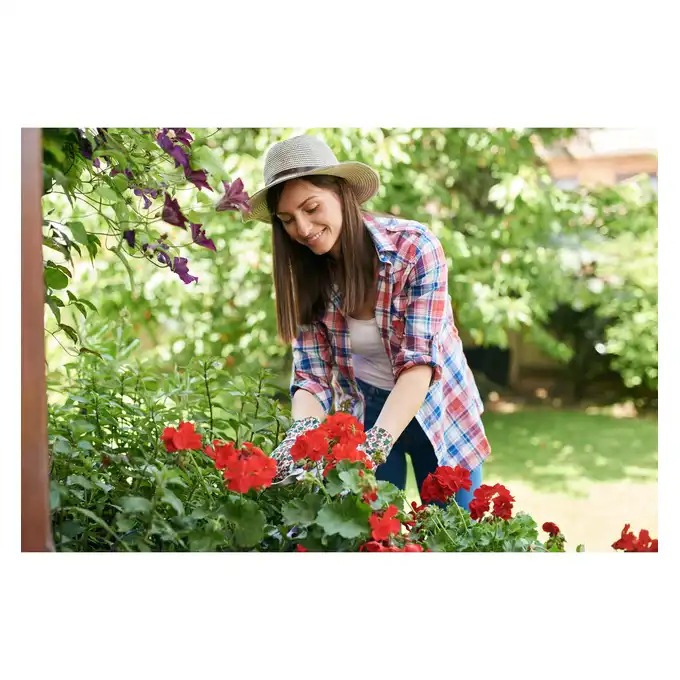 Ziemia do pelargonii BIOVITA 20L