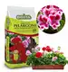 Ziemia do pelargonii BIOVITA 20L