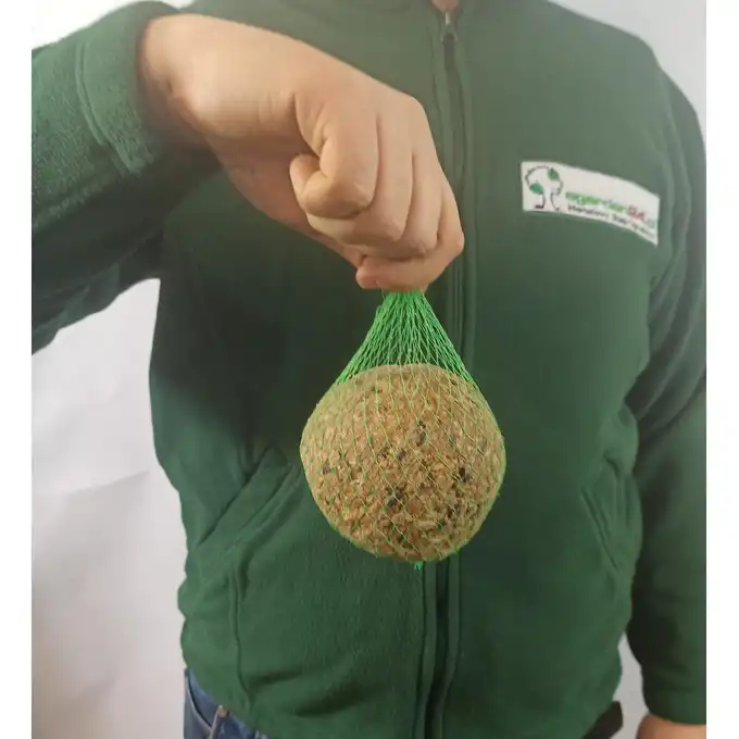 Zimowy pokarm dla ptaków "Ptasia pyza" 500g BRAPTA